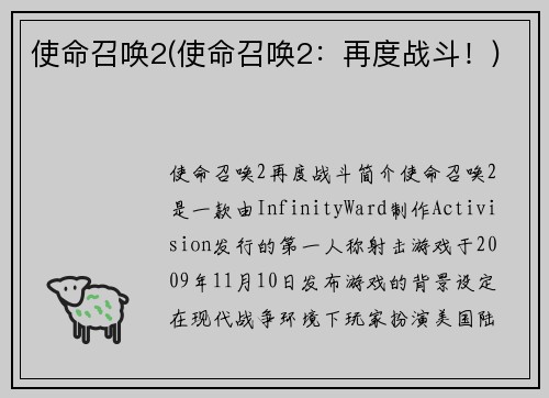 使命召唤2(使命召唤2：再度战斗！)